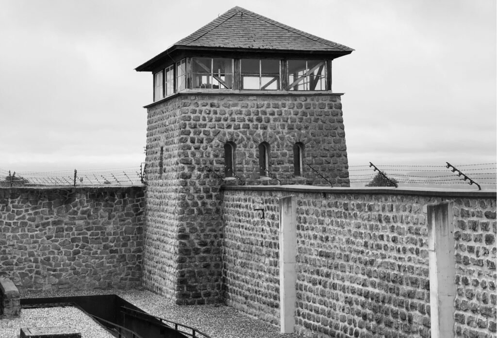 yves cedric schulze ljoedg6vba4 unsplash